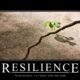 Future Resilience: Expert Tips